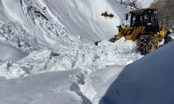 Batman'da yolu kardan kapanan 333 yerleşim yeri açıldı