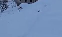 Beytüşşebap’ta Çığ Paniği: Ev Kar Altında Kaldı, 5 Kişi Kurtarıldı