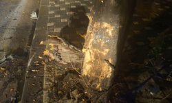 Bursa'da korkutan kaza