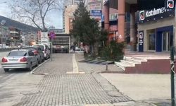 Bursa'da lodos etkili oldu!