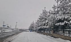 Diyarbakır'da yüksek kesimlerde kar etkili oldu