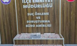Evinde 2 bin 226 hap ile yakalandı