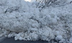 Hakkari-Çukurca kara yoluna çığ düştü