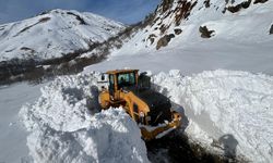 Hakkari'de 310 köy yolu ulaşıma açıldı!