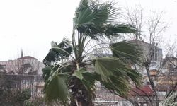 İstanbul'da lodos etkili oldu