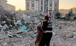 JAK Köpeği Ocak, 8 Yıllık Görevinde 48 Canı Hayata Bağladı