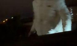 Konya'da 'yol verme' kavgasında 2 kişi bıçaklandı