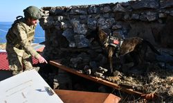 MSB Paylaştı: Bitlis’te Askeri Köpekli Timler Eğitimde