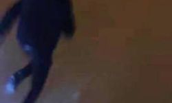 Muş’ta Kurt Dehşeti: Cep Telefonu ile Görüntülemek İsterken Canlarını Zor Kurtardılar