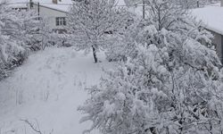 Samsun'da kar yağışı ulaşımı aksattı