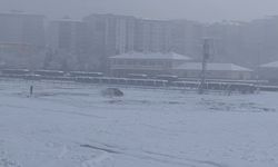 Siirt’te Drift Yapan Kamyonet Kara Saplandı, O Anlar Kamerada