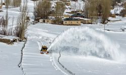 Van'da karla mücadele