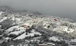 Bartın’da Yaralı Karacaya Şefkat Eli