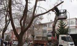 Keçiören’de Park ve Yeşil Alanlara Kış Bakımı Sürüyor