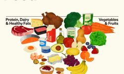 ABD’de Beslenme Piramidi Değişti!