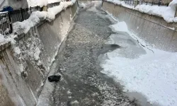 Yüksekova’da buz tutan derede ördeklerin soğukla mücadelesi dronla görüntülendi