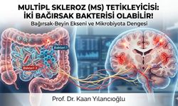 Multipl Sklerozun Tetikleyicisi Bağırsakta mı?