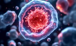 Bilim Dünyasından Çarpıcı Araştırma: Beslenme Düzeni Kanser Riskini Etkiliyor