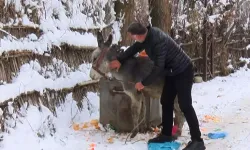 Muş’ta Sahipsiz Hayvanlara Merhamet Eli: Besiciye 1,5 Ton Yem Desteği