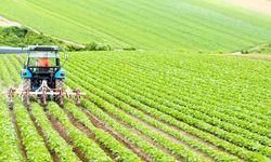 İklim Krizi Tarımı Yeniden Yazıyor
