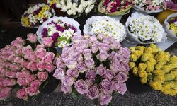 Kayseri’de Sevgililer Günü Hareketliliği: Kırmızı Gül 150 Liradan Başlıyor