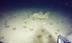 51 Yıllık Kayıpta Yeni Parçalar Bulundu