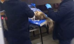 Aksaray’da Silah Sesleri Üzerine Girilen Evde 3 Kişi Ölü Bulundu