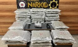 Avcılar’da 48 kilo skunk ele geçirildi: 2 gözaltı