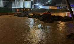 Çanakkale'de sağanak: Kepez Çayı ve Sarıçay taştı