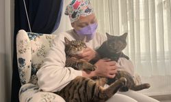 Hazal öğretmen, 9 ayda kanseri yendi