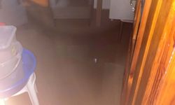 İzmir Foça'da sağanak; dereler taştı!