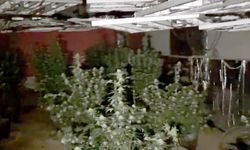 Kırklareli'de uyuşturucu imal edilen çiftliğe operasyon