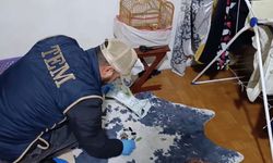 Kırşehir merkezli 3 ilde DEAŞ operasyonu!