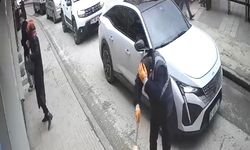 Ordu'da talihsiz kaza!