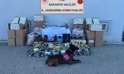 Sakarya'da jandarmadan kaçak tütün baskını