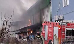 Sakarya'da soğuk hava deposunda yangın