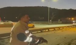 Samandağ’da Tellere Takılan Şahin Kurtarıldı