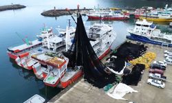 'Sessiz katil hayalet ağlara' robotik müdahale