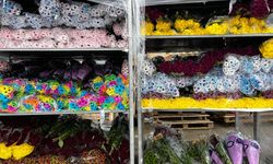 Sevgililer Günü için Hollanda'dan çiçek getirttiler!