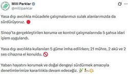 Sinop’ta yasa dışı avcılığa geçit yok: 5 güme imha edildi