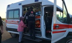 Tarım İşçilerini Taşıyan Minibüs Kaza Yaptı!