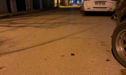 Tartıştıkları genci bıçakladılar