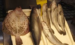 Trabzon’da Ramazan’ın İlk Günlerinde Balığa İlgi Düşük Kaldı