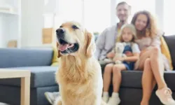 Brezilya’da Duygusal Veda: Evcil Hayvanlar Sahipleriyle Aynı Mezara