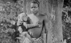 Ota Benga Skandalı Nedir?