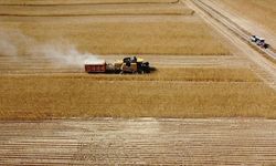 Tarım Desteği Hesaplarda: 149 Milyon TL Çiftçilere Ulaşıyor
