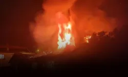 Urla’da Yangın Can Aldı: 68 Yaşındaki Kadın Hayatını Kaybetti