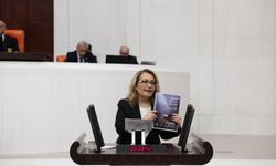 TBMM’de Deprem Raporu: “Ev Var, Yaşam Yok”