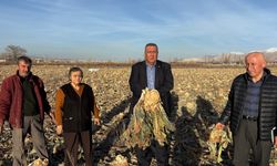 Gürer: “İsraf tarlada başlıyor, üretici yalnız bırakılıyor”