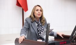 "Evlerde Kombi Açmak Lüks Oldu!"